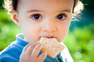 Photo of child eating a cookie